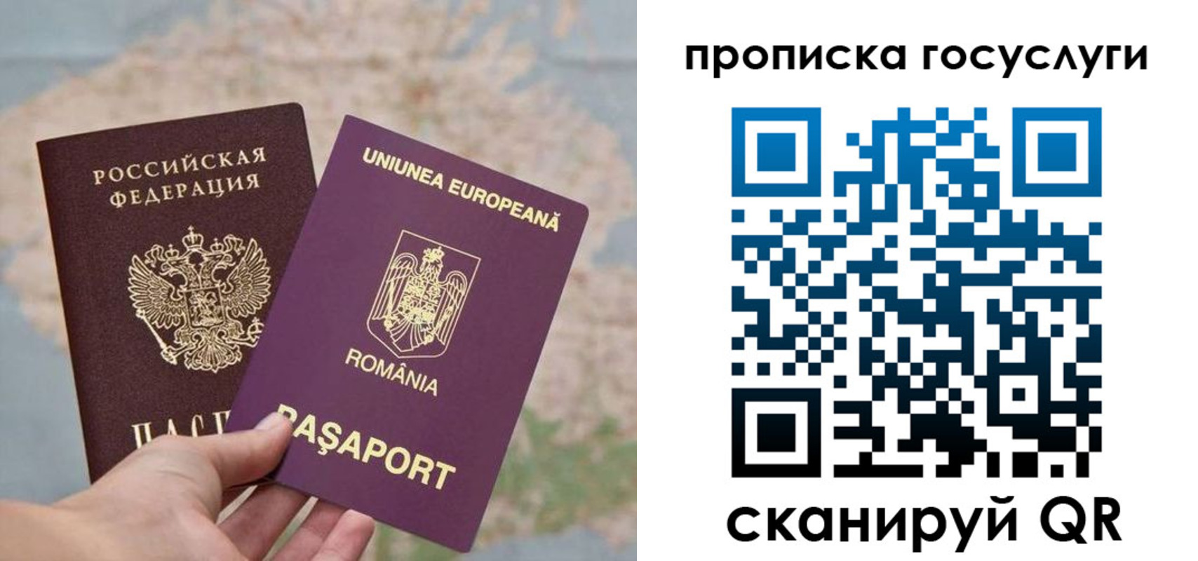 прописка паспорт в Всеволожске